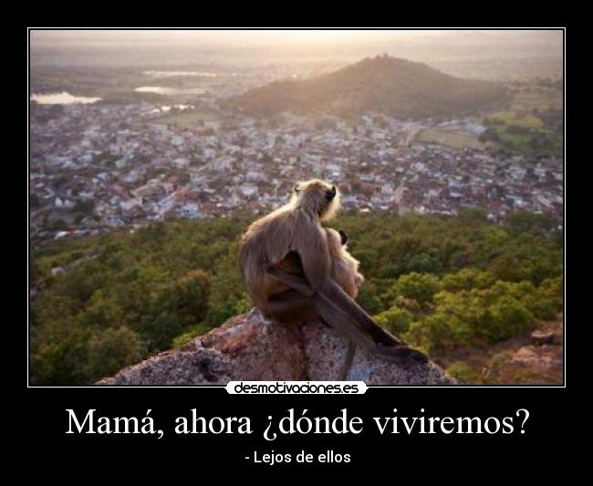 Mamá, ahora ¿dónde viviremos? -
