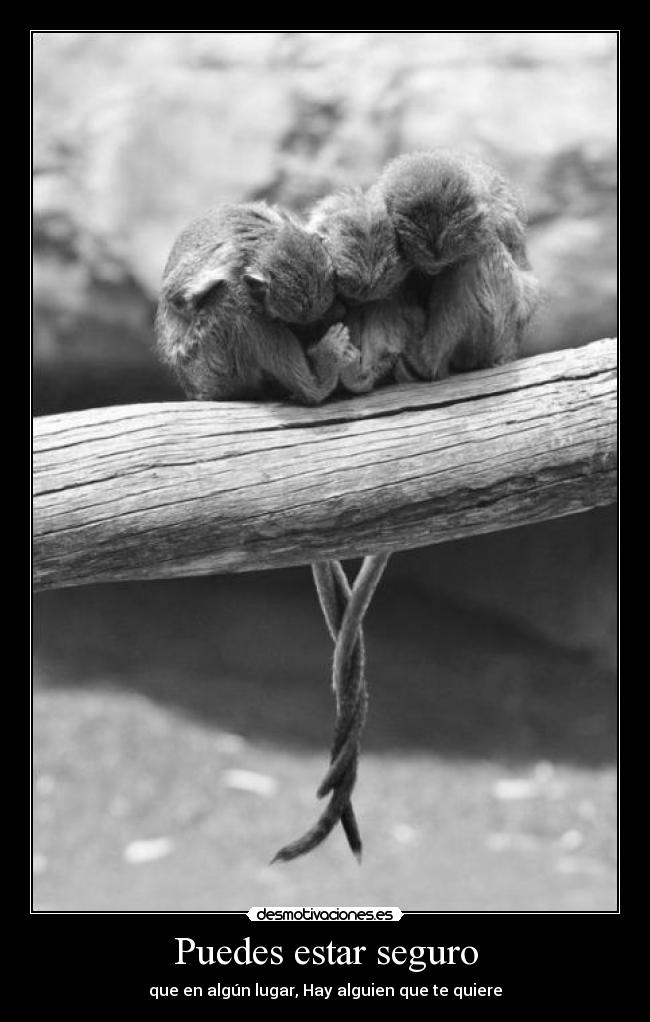 carteles creatividad avanza masterjay desmotivacions 2011 desmotivaciones