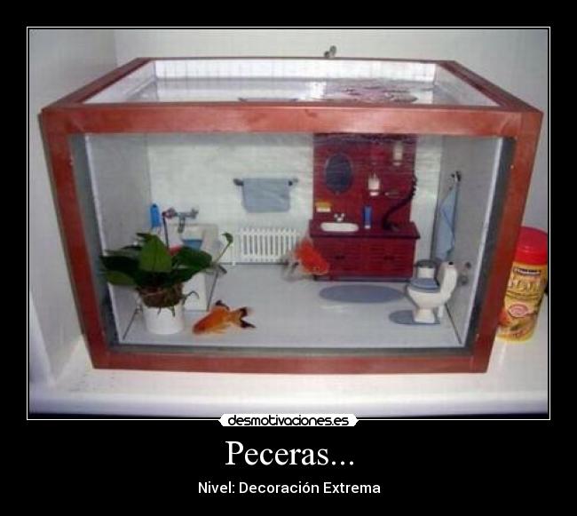 Peceras... - 