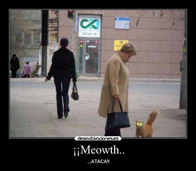 ¡¡Meowth.. - 