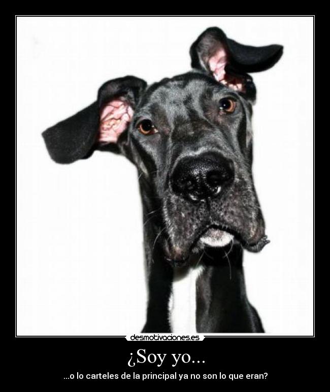 ¿Soy yo... - ...o lo carteles de la principal ya no son lo que eran?