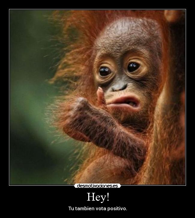 Hey! - Tu tambien vota positivo.