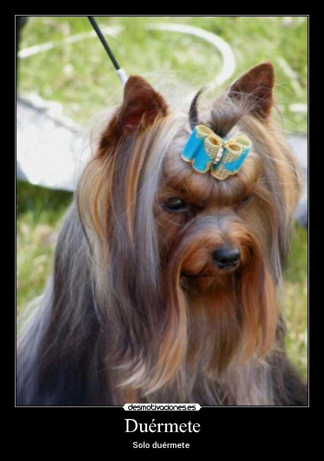 Duérmete -