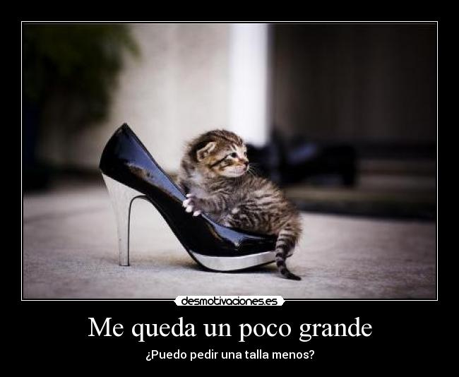 Me queda un poco grande -