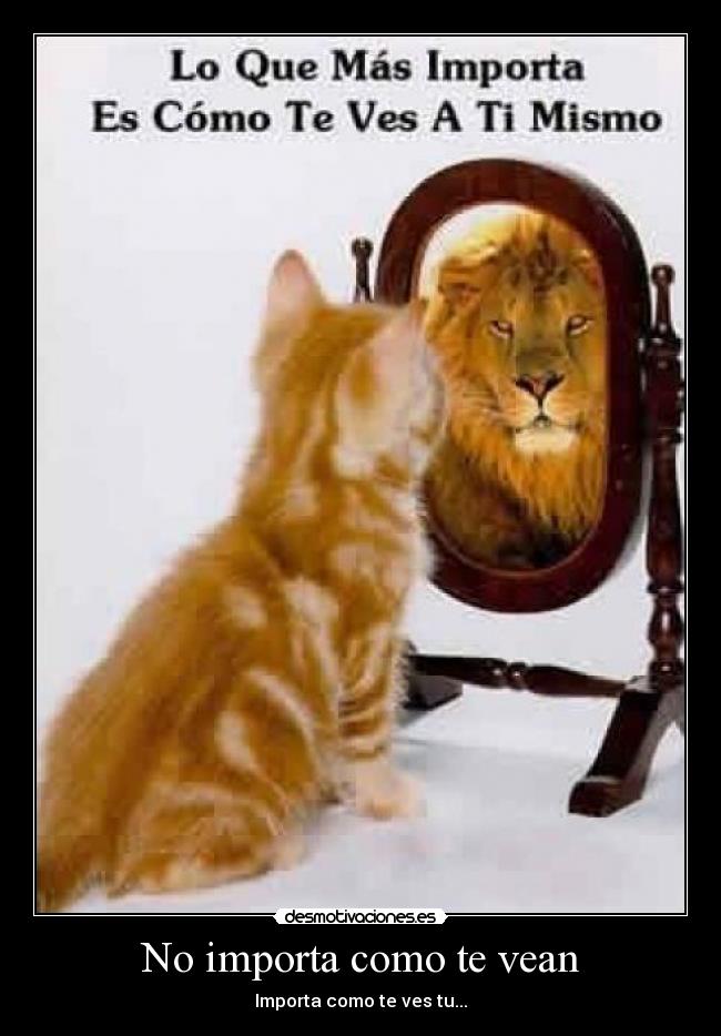 No importa como te vean - 