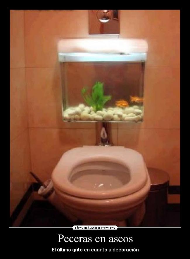 Peceras en aseos - El último grito en cuanto a decoración