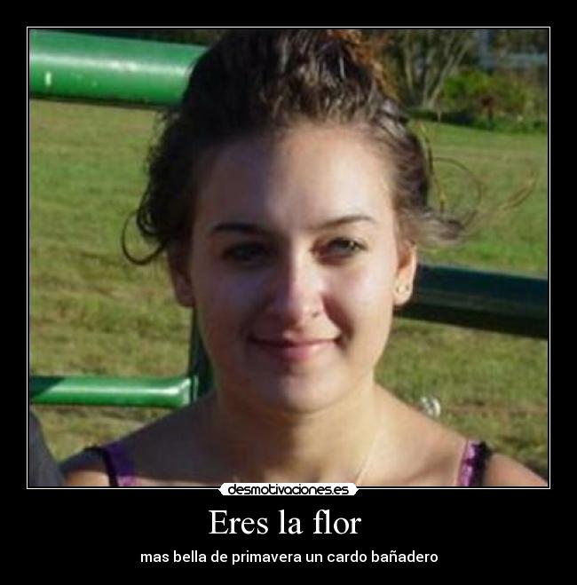 carteles lleidan desmotivaciones