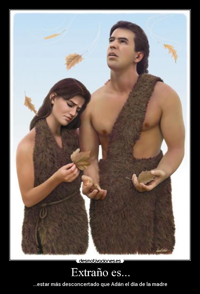 carteles adan desmotivaciones