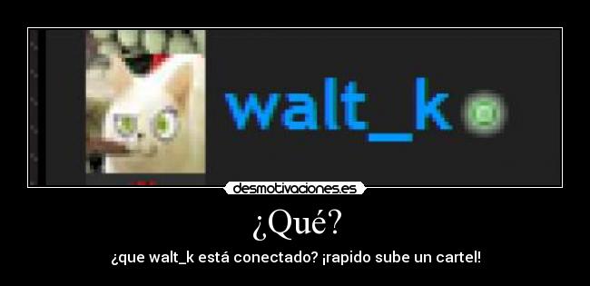 ¿Qué? - ¿que walt_k está conectado? ¡rapido sube un cartel!