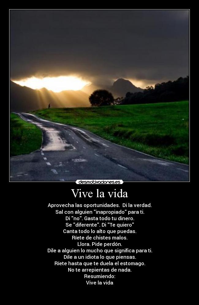 carteles vida vive vida llora rie ama quiero canta dinero piensa perdon diferente oportunidad desmotivaciones