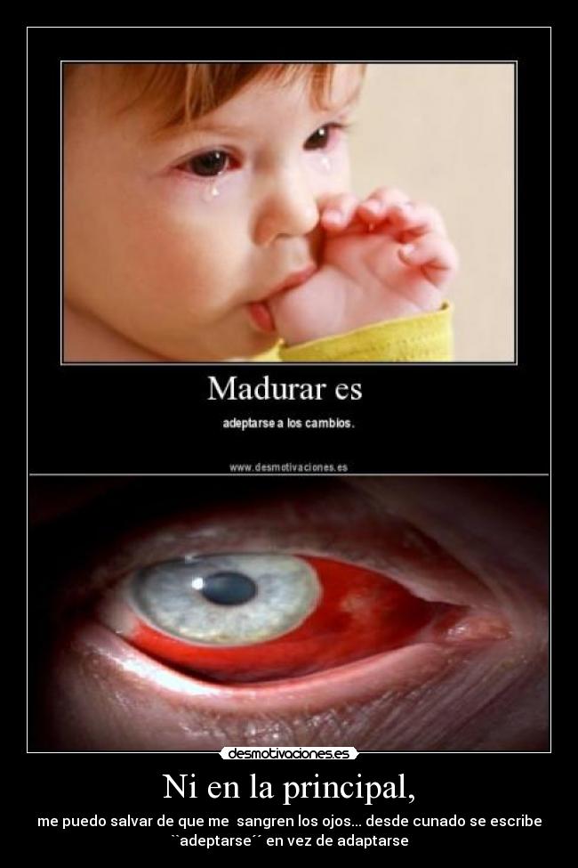 Ni en la principal, - me puedo salvar de que me sangren los ojos... desde cunado se escribe
``adeptarse´´ en vez de adaptarse