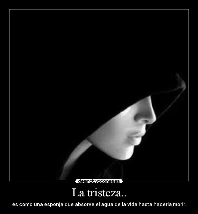 La tristeza.. - es como una esponja que absorve el agua de la vida hasta hacerla morir.