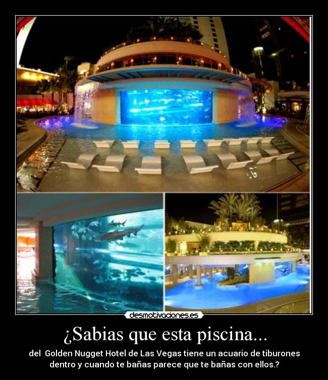 ¿Sabias que esta piscina... -