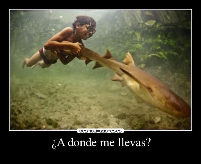 ¿A donde me llevas? - 