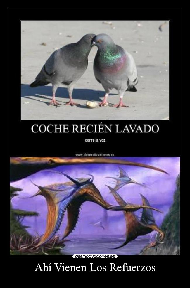 Ahí Vienen Los Refuerzos - 