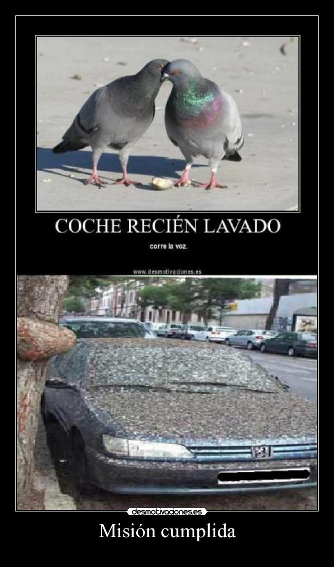 carteles deportivistadeporvida desmotivaciones