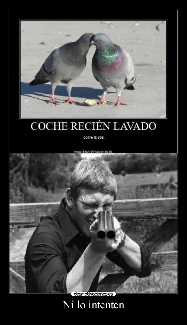 Ni lo intenten - 