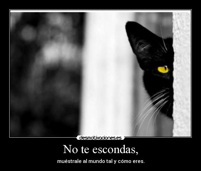 No te escondas, - muéstrale al mundo tal y cómo eres.