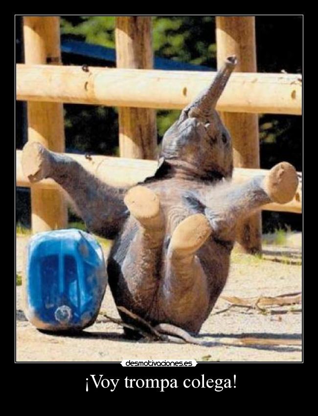 ¡Voy trompa colega! -