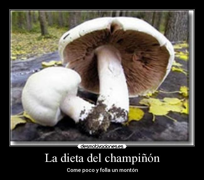 La dieta del champiñón -