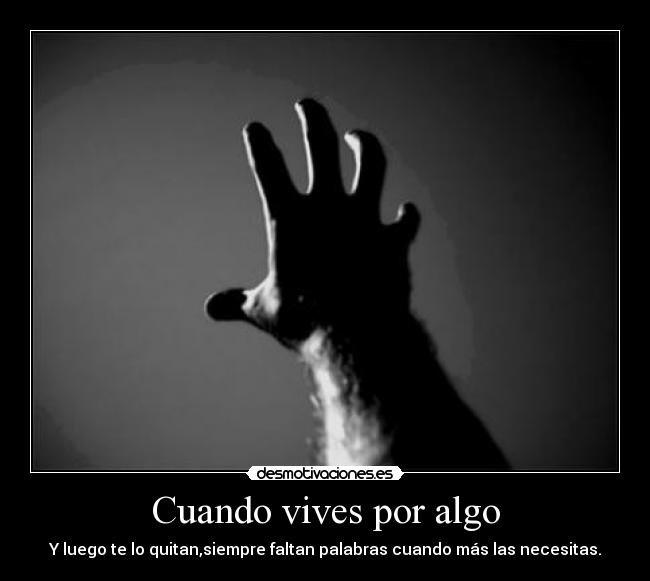 carteles cuando vives por algo desmotivaciones