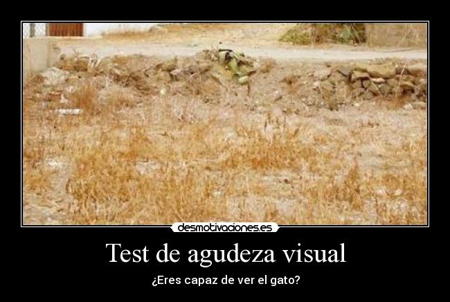 Test de agudeza visual - ¿Eres capaz de ver el gato?