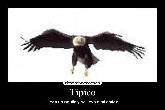 Típico -