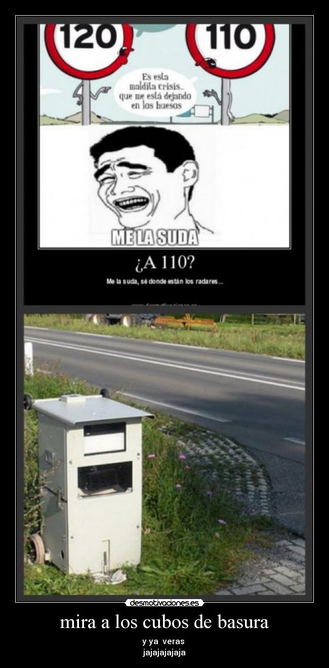 mira a los cubos de basura -