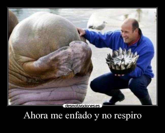 Ahora me enfado y no respiro - 