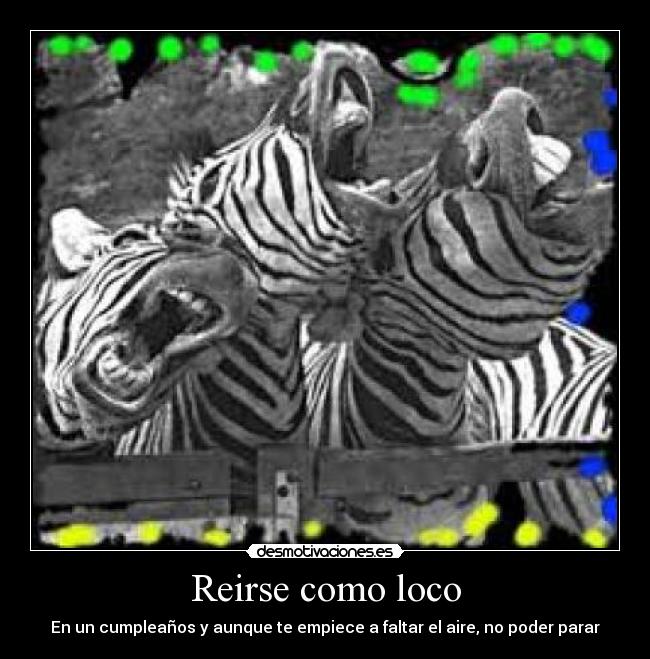 carteles cebras desmotivaciones