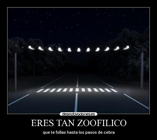 ERES TAN ZOOFILICO - que te follas hasta los pasos de cebra