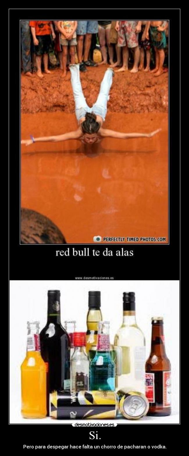 Si. - Pero para despegar hace falta un chorro de pacharan o vodka.