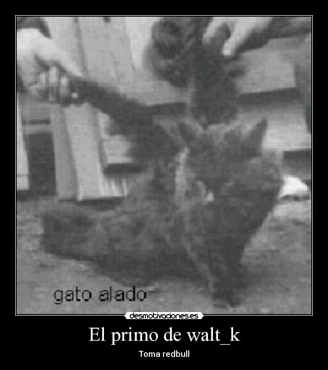 El primo de walt_k - Toma redbull