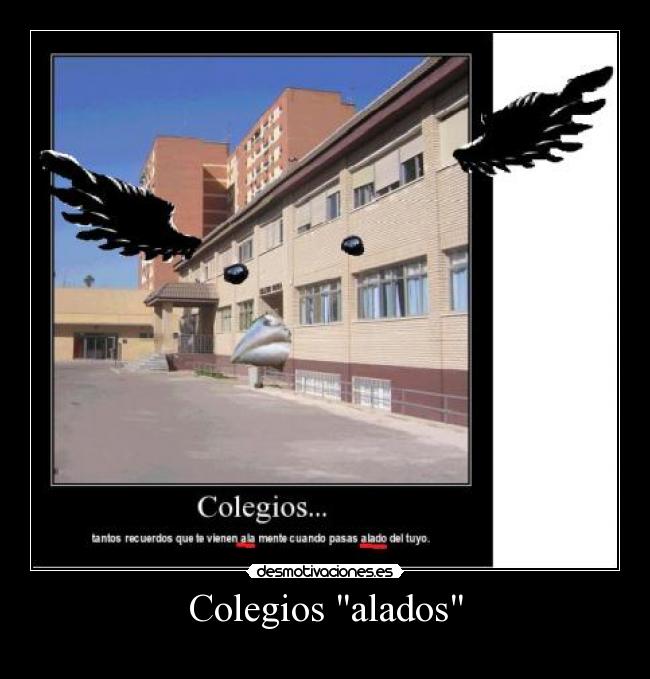Colegios alados -