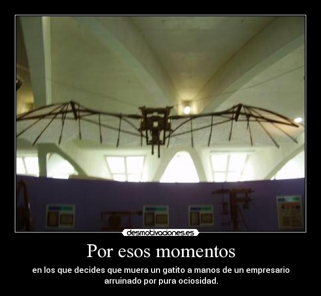 Por esos momentos - en los que decides que muera un gatito a manos de un empresario
arruinado por pura ociosidad.