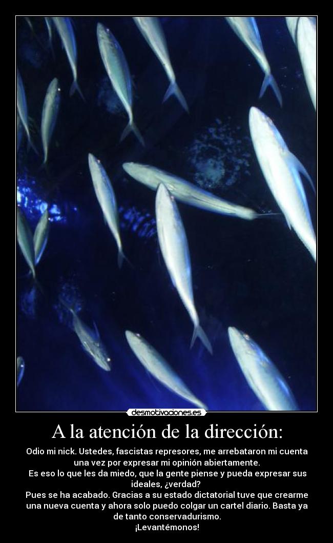 A la atención de la dirección: - Odio mi nick. Ustedes, fascistas represores, me arrebataron mi cuenta
una vez por expresar mi opinión abiertamente.
Es eso lo que les da miedo, que la gente piense y pueda expresar sus
ideales, ¿verdad?
Pues se ha acabado. Gracias a su estado dictatorial tuve que crearme
una nueva cuenta y ahora solo puedo colgar un cartel diario. Basta ya
de tanto conservadurismo.
¡Levantémonos!