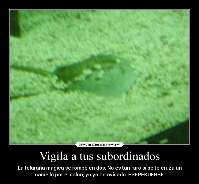 Vigila a tus subordinados - La telaraña mágica se rompe en dos. No es tan raro si se te cruza un
camello por el salón, yo ya he avisado. ESEPEKUERRE.