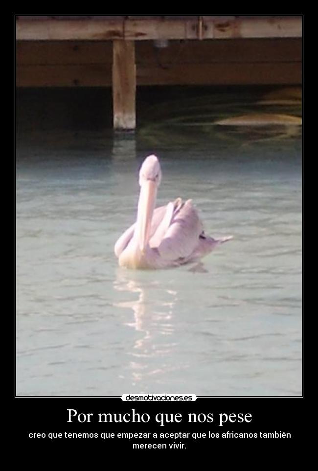 Por mucho que nos pese - creo que tenemos que empezar a aceptar que los africanos también merecen vivir.