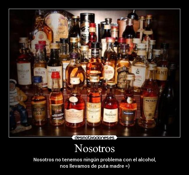Nosotros - Nosotros no tenemos ningún problema con el alcohol,
nos llevamos de puta madre =)