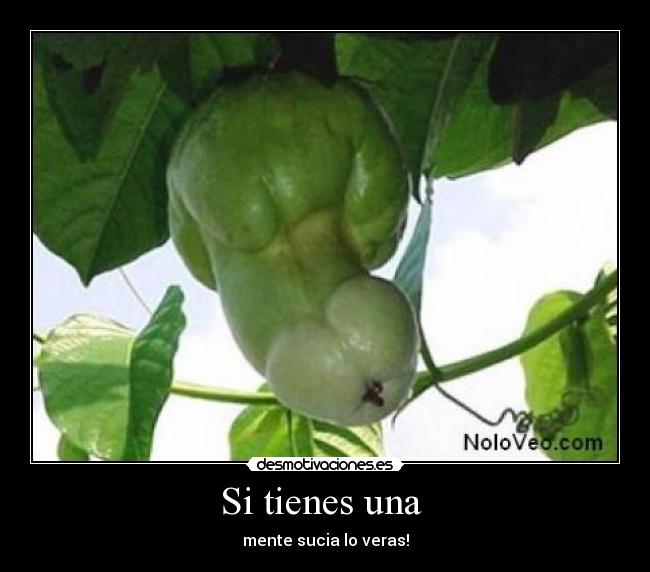 carteles xexomlg desmotivaciones