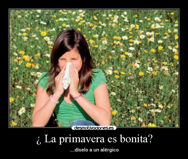 ¿ La primavera es bonita? - ....díselo a un alérgico