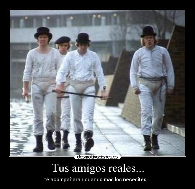 Tus amigos reales... - te acompañaran cuando mas los necesites....