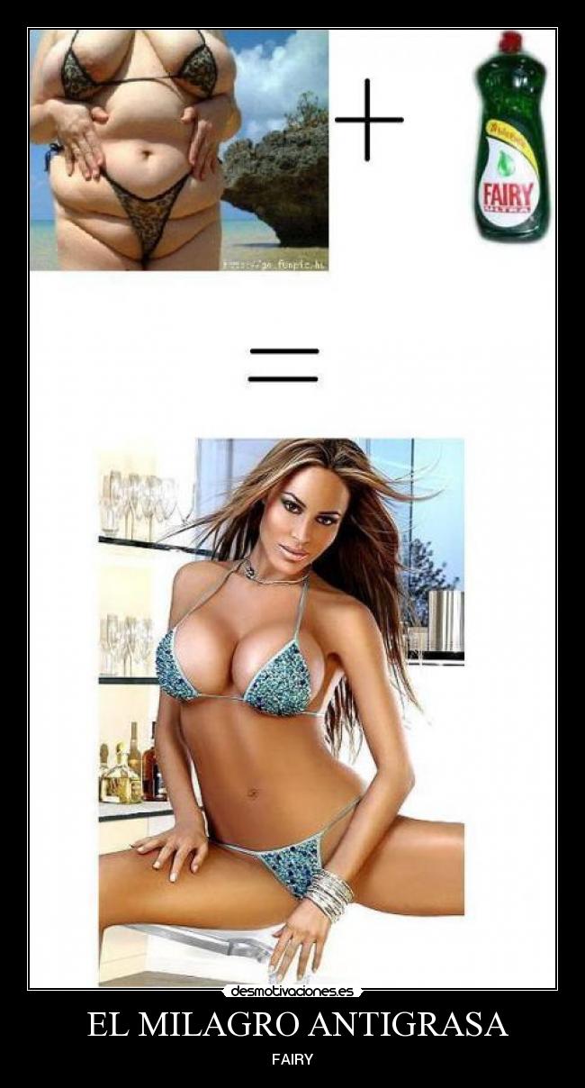 EL MILAGRO ANTIGRASA - FAIRY