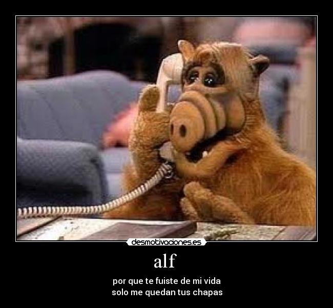 alf  - por que te fuiste de mi vida
solo me quedan tus chapas