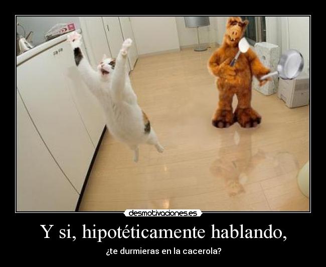 carteles enemigo desmotivaciones