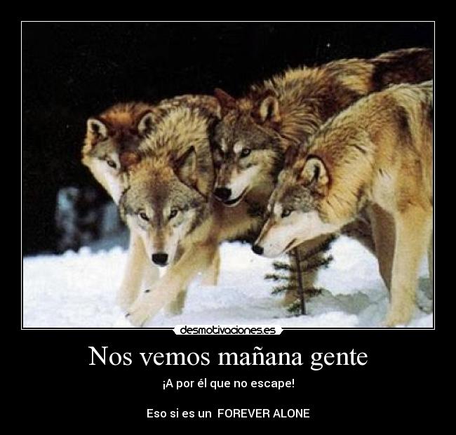 Nos vemos mañana gente - ¡A por él que no escape!
Eso si es un FOREVER ALONE