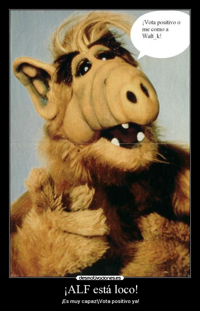¡ALF está loco! - ¡Es muy capaz!¡Vota positivo ya!
