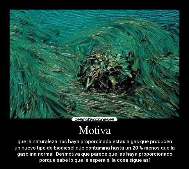 Motiva - que la naturaleza nos haya proporcinado estas algas que producen
un nuevo tipo de biodiesel que contamina hasta un 20 % menos que la
gasolina normal. Desmotiva que parece que las haya proporcionado
porque sabe lo que le espera si la cosa sigue así