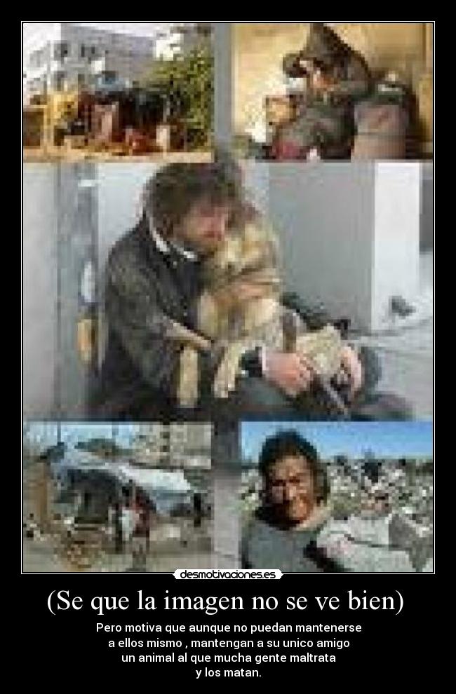 (Se que la imagen no se ve bien) -