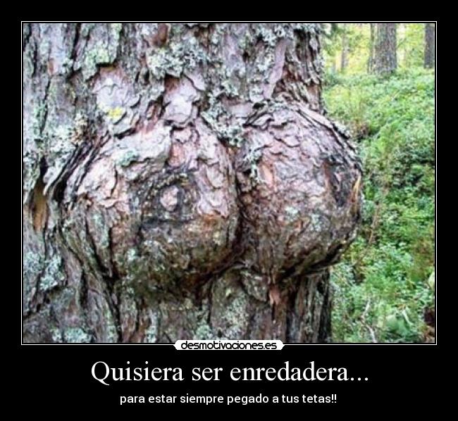 Quisiera ser enredadera... - para estar siempre pegado a tus tetas!!